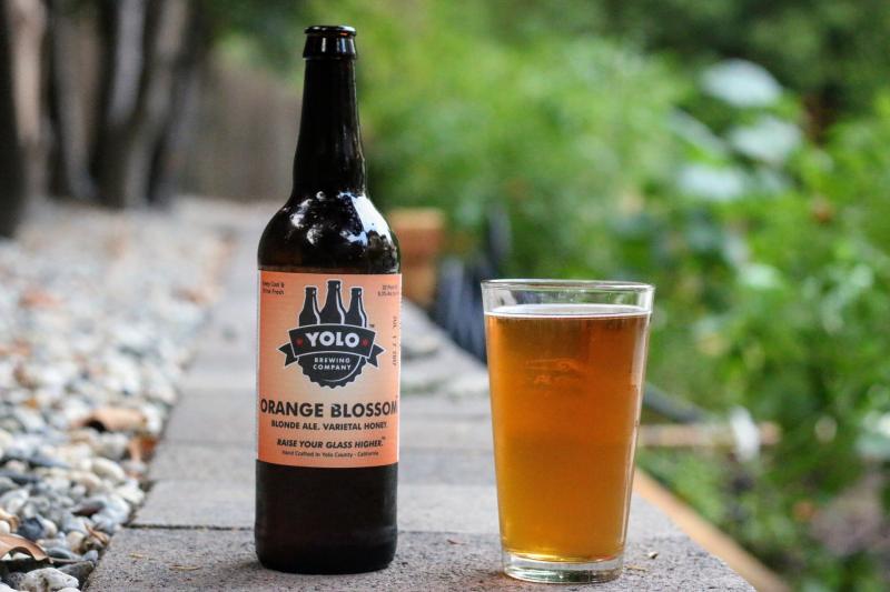 Yolo Brewing Company